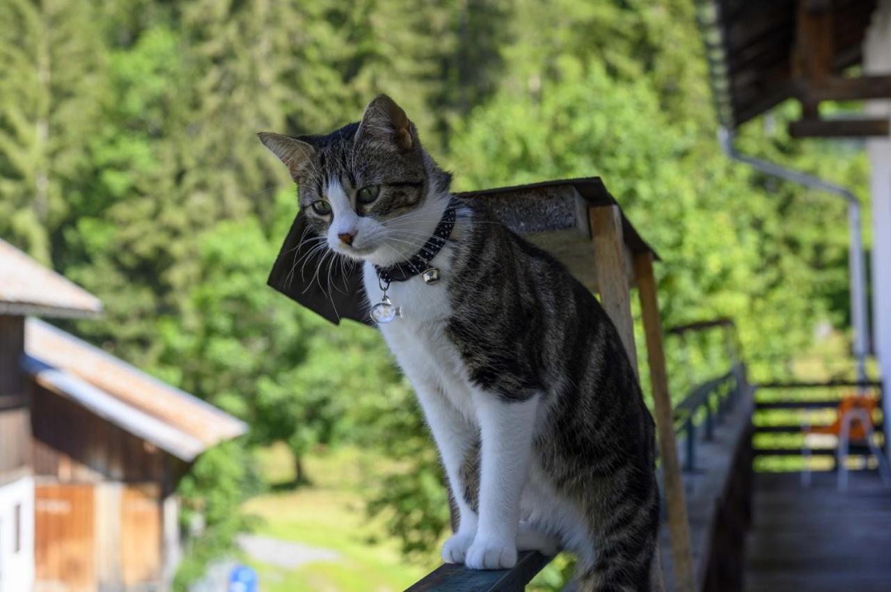 0 Sterne Weisses Rössl In Leutasch/tirol Gasthof Leutasch